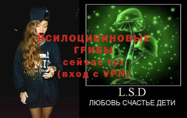 ешки Каменка