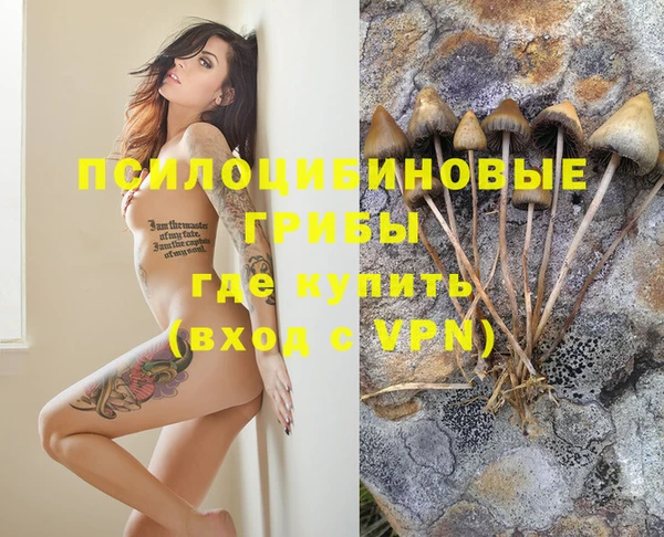 ешки Каменка